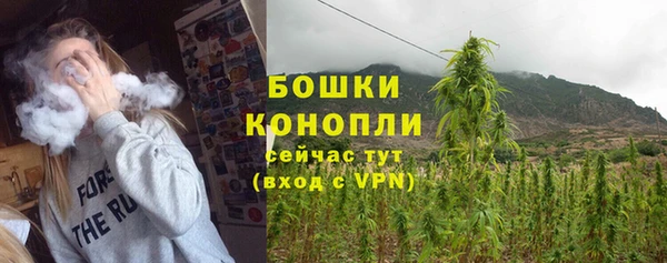 гашик Заволжье
