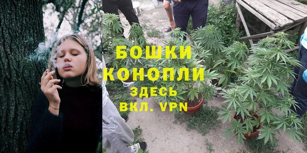 дмт Заводоуковск