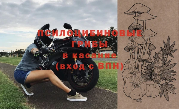 гашик Заволжье