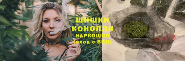 гашик Заволжье