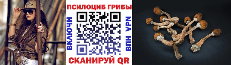 Псилоцибиновые грибы Magic Shrooms  купить закладку  Моздок 
